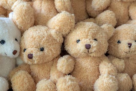 726 Texture Fur Teddy Bear Stock Photos Free And Royalty Free Stock