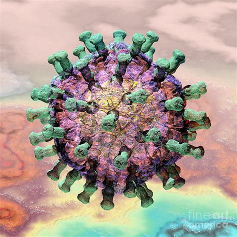 Rapid dehydration requiring rehydration therapy can. Rotavirus 2 Digital Art by Russell Kightley