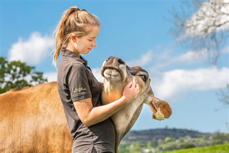 Goodheart Animal Sanctuaries Becomes The First Farm Sanctuary In Europe