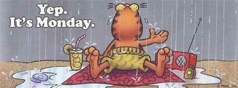 rainy days and monday s always get me down catittude garfield pictures cartoon pics