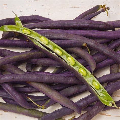 Alabama Purple Hull Peas Heirloom Seeds