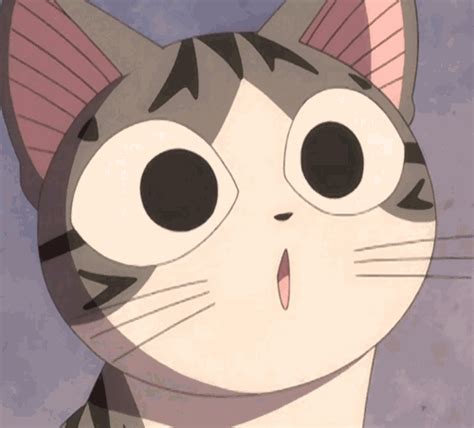 World Of Chi Gato Anime Anime Cat Kawaii Anime Manga Anime Chi Le