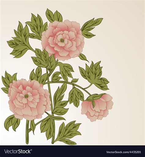 Background With Peonies Royalty Free Vector Image