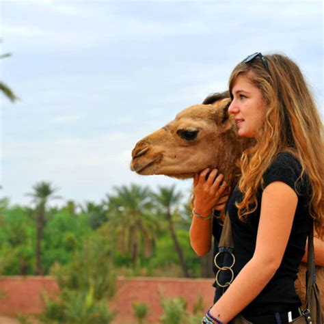 Do like a real moroccan with a classic mint tea and a camel ride on this marrakech sunset experience. Things to do in Marrakech & Activities In Marrakech