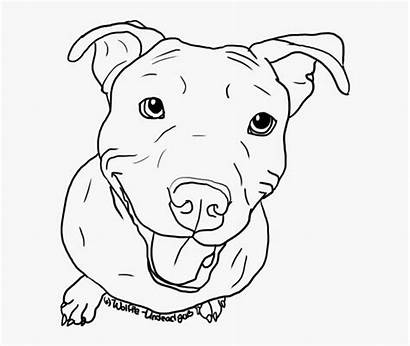 Coloring Bull Pit Terrier Drawing Puppy American