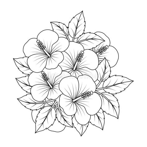 Rose Of Sharon Flower Line Art Vector Graphic Design Of Coloring Page