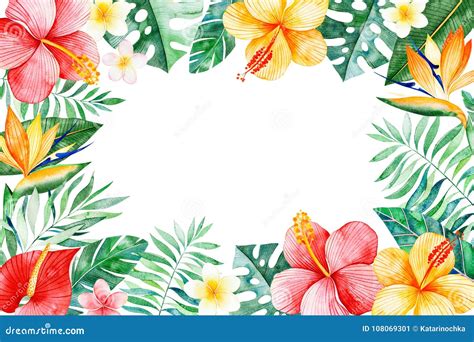 Watercolor Tropical Frame Border Stock Illustration Illustration Of