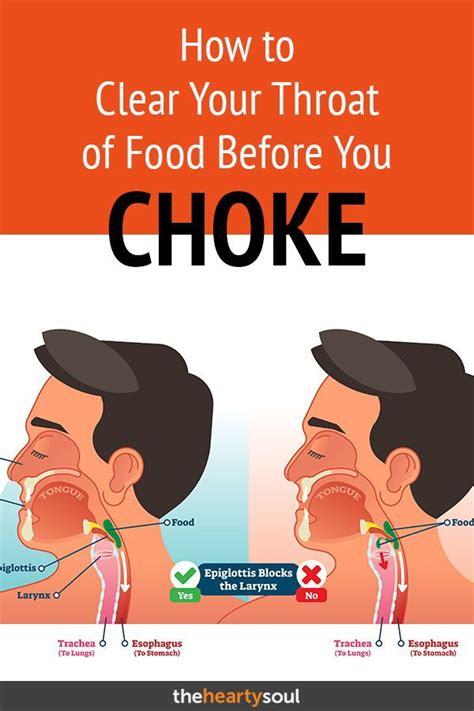 How To Clear Your Throat Of Food Before You Choke Food Stuck In