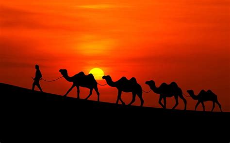 1920x1080px Free Download Hd Wallpaper Arabian Sunset Camels Sky