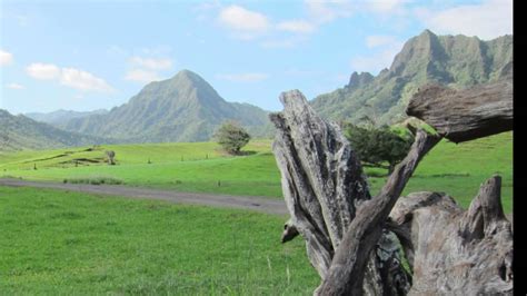 Jurassic Park Stampede Filming Location Youtube