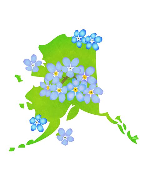Alaska State Flower Forget Me Not Digital Download Usa Etsy