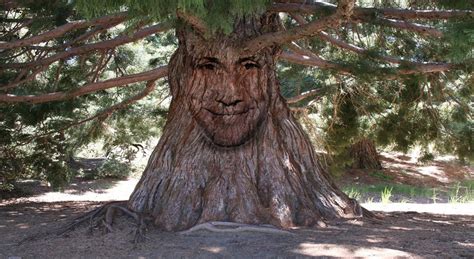 How To Disguise A Face Onto A Gnarly Tree Bark Using Photoshop