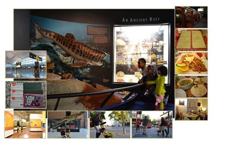 Fans of his music also like music from brandonp, steven malcolm, joey vantes, ty brasel, whatuprg, aha gazelle, derek minor, swoope, 1k phew. BACKPACKER DAY 2: Fly High to Perth City... Yeay ...