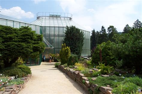 Botanická zahrada liberec purkyňova 630/1 liberec 460 01. File:Liberec, Botanická zahrada, Skleníky.jpg - Wikimedia ...