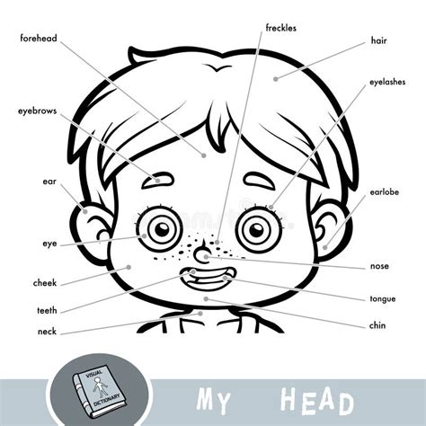 Diagram Human Body Parts Boy Stock Illustrations 62 Diagram Human