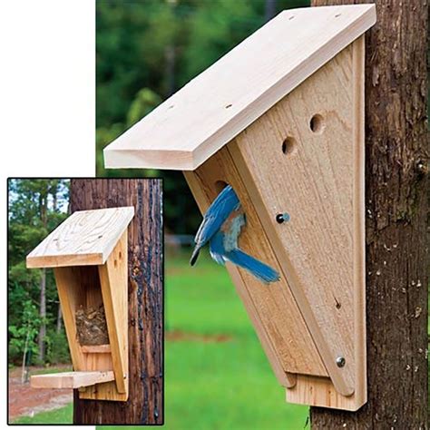 Peterson Bluebird Nest Box Birding From Gardens Alive Nesting Boxes