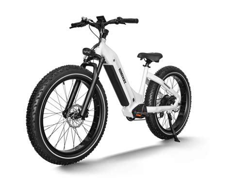 Himiway Zebra Premium All Terrain Fat Tire Electric Bike Eze Ryders