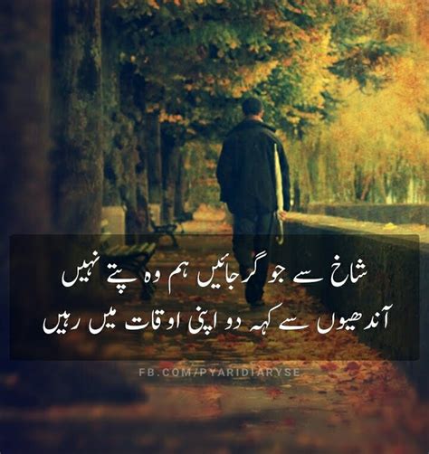 Pyari Diary | Attitude Urdu Poetry & Status - Andhiyon Se Keh Do
