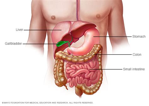 Comme par exemple, cela démontre que. 3 facts about alcohol you need to know | Tone Every Zone