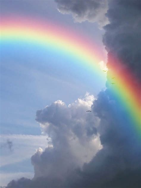 Sky With Rainbow Rainbow Pictures Rainbow Photo Rainbow Sky