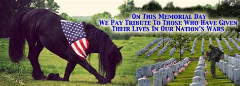 HORSES FOR HEROES New Mexico - Cowboy Up! 505-798-2535 ...