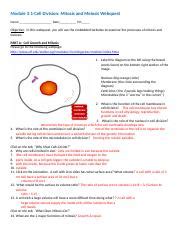 By the time you are finished with this post, you'll chuckle at this. Webquest-_Mitosis_and_Meiosis - Mitosis and Meiosis Webquest Name Biology Date Period Learning ...