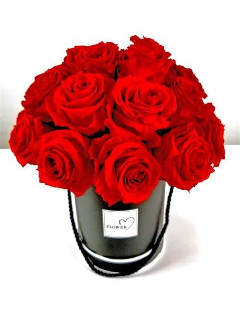 The fatwallet site is no longer active. Roses that Last a Year | Preserved roses, Rose