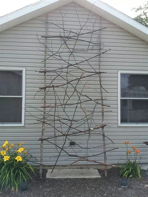 Maybe you would like to learn more about one of these? Trellis made from branches. Great way to help clean up ...