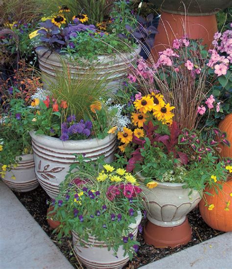 A container in gardening is a small, enclosed and usually portable object used for displaying live flowers or plants. Container gardening - San Diego Downtown News