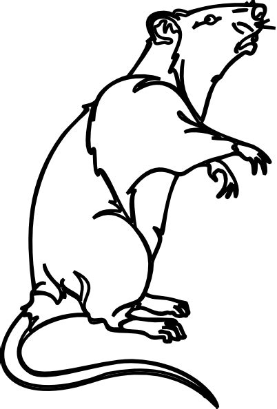 Black and white mosquito clipart. Rat Clip Art at Clker.com - vector clip art online ...