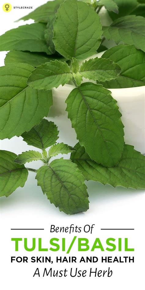 Holy Basil Benefits For Your Health Skin And Hair In 2020 With