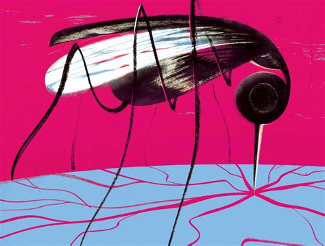 Opinion How Scared Should You Be About Zika The New York Times