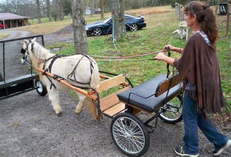 The Amazing Ez Trainer In Action Mini Horse Cart Mini Horse Horse Cart