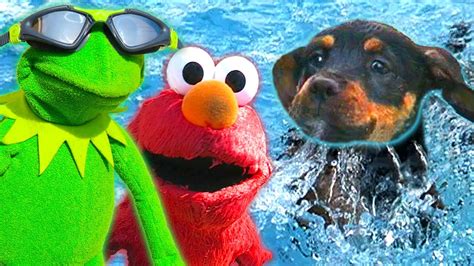 Kermit The Frog Elmo And Puppy Go Swimming Youtube