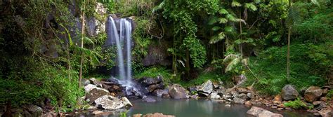 Waterholes And Waterfalls Experience Tamborine Mountain