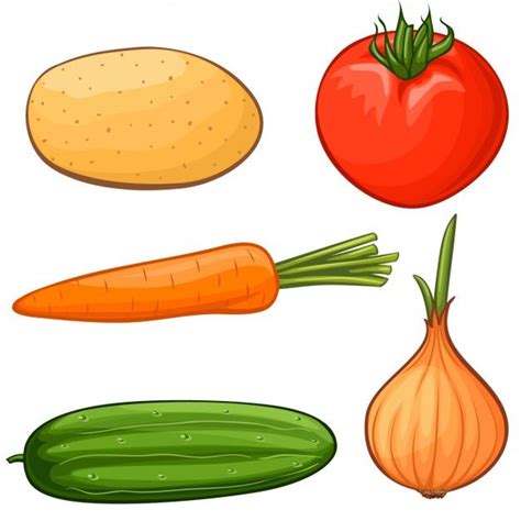 Coloured Vegetables Collection Free Vector Vegetable Pictures