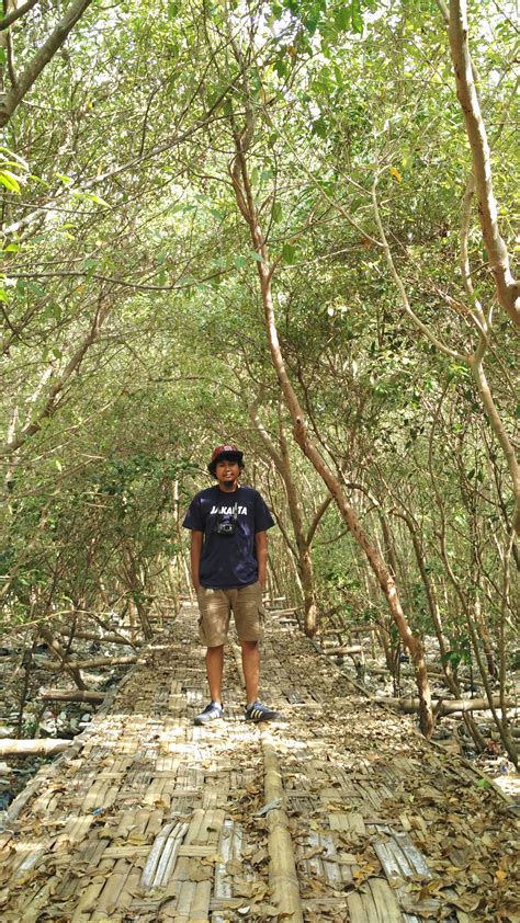 Menikmati Ekowisata Hutan Mangrove Wonorejo