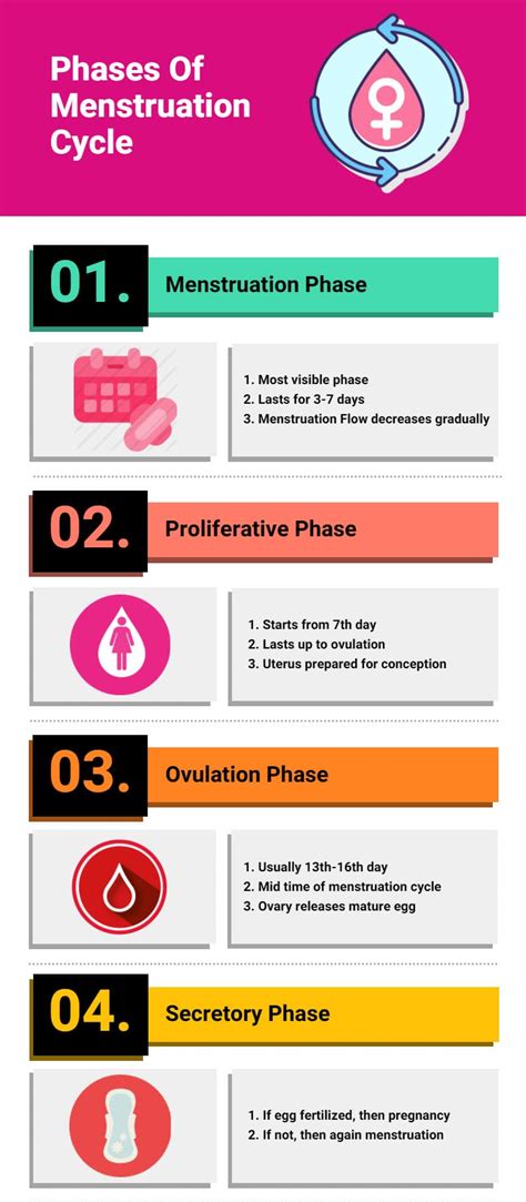 Menstruation Or Menses Cycle Phases Signs And Problems