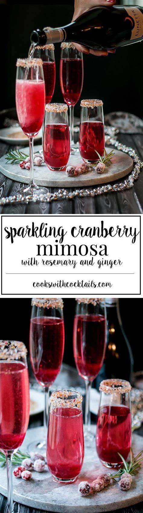 Christmas trees and santa hats: Cranberry Ginger Sparkling Holiday Cocktail | Recipe ...