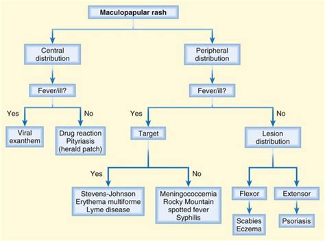 approach to the adult rash clinical gate