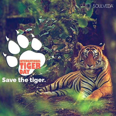 International Tiger Day Save The Tiger Tiger Conservation Animal