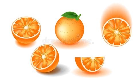 Vector Object Oranges Cut In Half On Ground Stock Vector