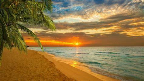 Sunset Sea Summer Palm Sky Tropics Caribbean Paradise Wallpaper