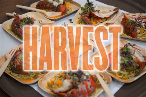 13 Reasons To Go To Harvest On The Harbor Festival Harvest On The Harbor