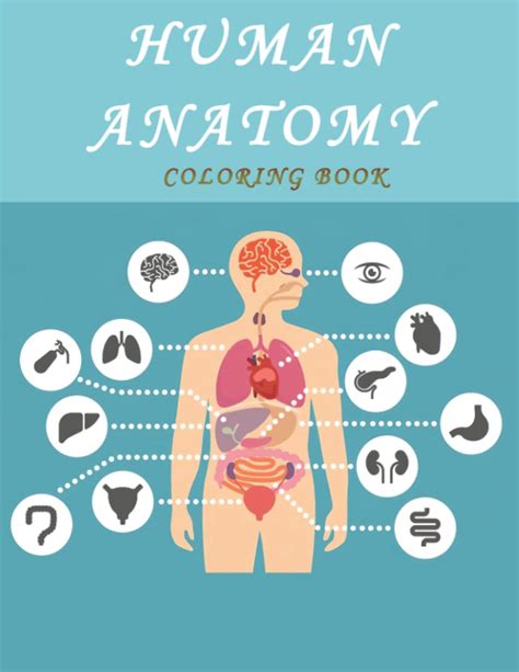 Buy Human Anatomy Coloring Book All Human Body Systems With 40
