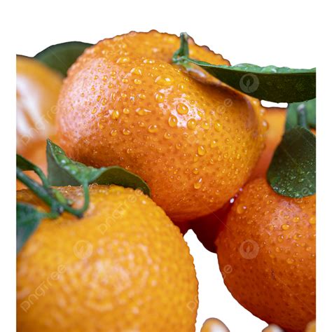 Fruit Orange Sugar Tangerine Fruit Orange Sugar Tangerine Png