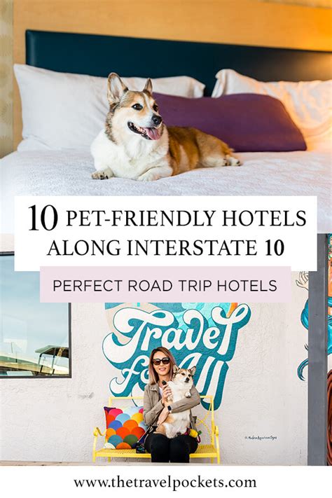 The Top 10 Best Pet Friendly Hotels Along I 10 For Every Budget