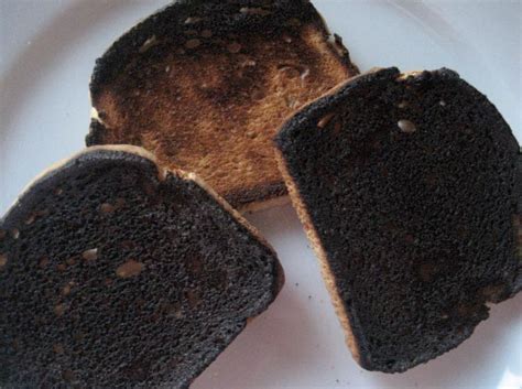 the burnt toast an incredibly touching story elite readers