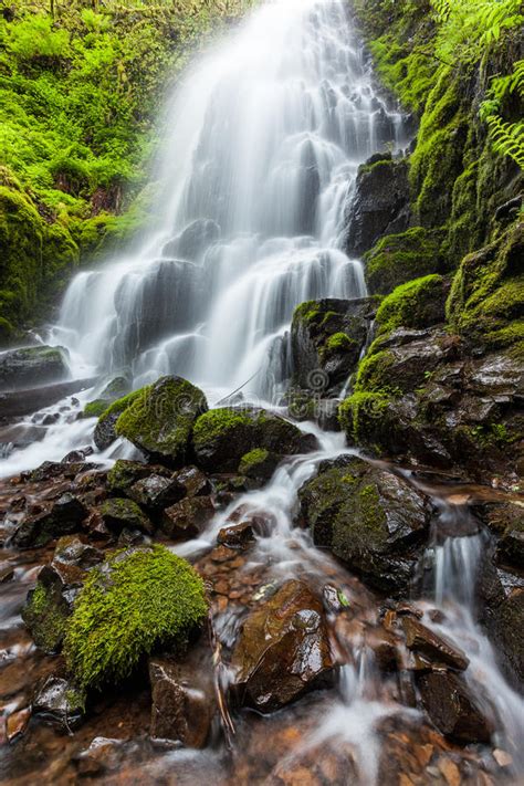 Fairy Falls In Columbia River Gorge Oregon Stock Image Image Of