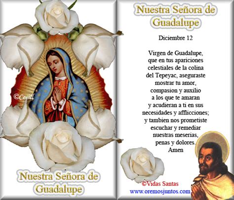 Vidas Santas Estampita Y Oración A Nuestra Señora De Guadalupe